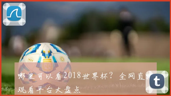哪里可以看2018世界杯？全网直播观看平台大盘点