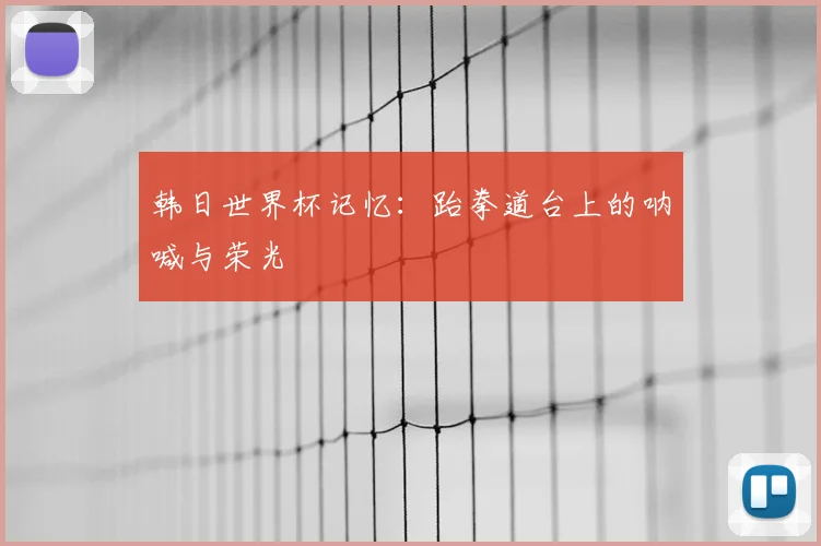 韩日世界杯记忆：跆拳道台上的呐喊与荣光