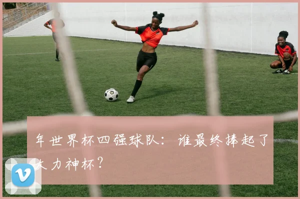 年世界杯四强球队：谁最终捧起了大力神杯？