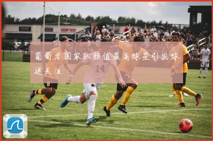 葡萄牙国家队颜值最高球星引发球迷关注